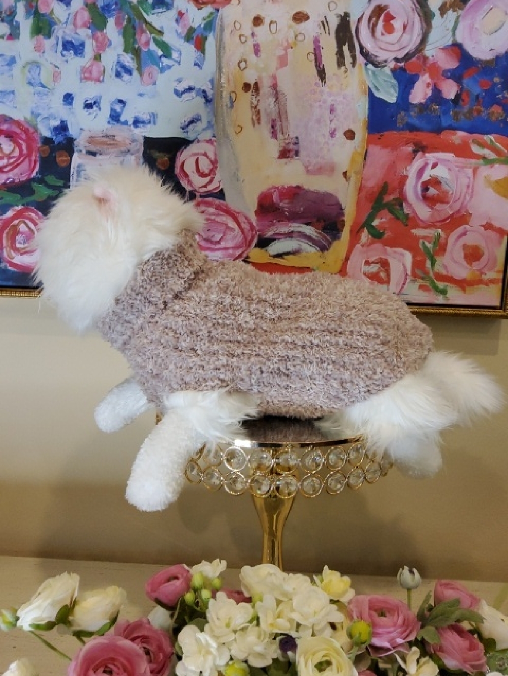 Barefoot Dreams Soft Tan Cozy Knit Dog Sweater